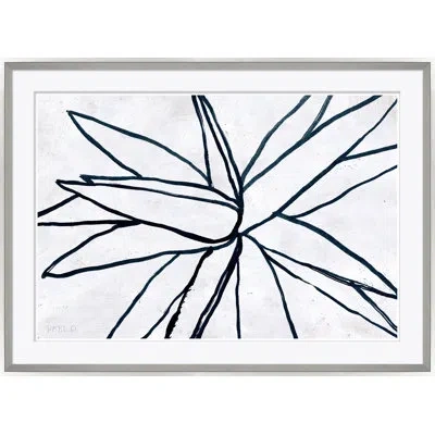 Soicher Marin 'swans Neck' By Susan Hable - Picture Frame Painting On Paper In Black;white;gray