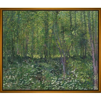 Soicher Marin Trees And Undergrowth By Vincent Van Gogh - Single Picture Frame Print On Canvas In Green