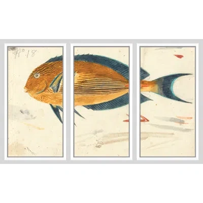 Soicher Marin Triptych Fish - 3 Piece Single Picture Frame Painting Set In Blue;brown;ivory