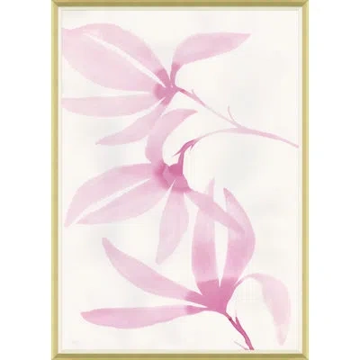 Soicher Marin 'tulip Magnolia' By Susan Hable - Picture Frame Painting On Paper In Pink