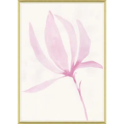 Soicher Marin 'tulip Magnolia Single' By Susan Hable - Picture Frame Painting On Paper In Pink