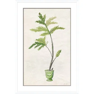 Soicher Marin 'verdigris Ii' By Dana Gibson - Picture Frame Graphic Art In Green;gray;beige
