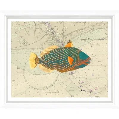Soicher Marin 'vibrant Fish 1' - Picture Frame Graphic Art On Paper In Beige;orange;teal