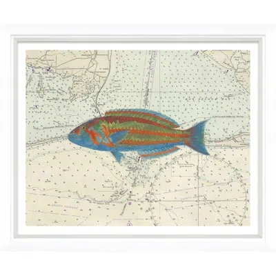 Soicher Marin 'vibrant Fish 2' - Picture Frame Graphic Art On Paper In Blue;beige;orange