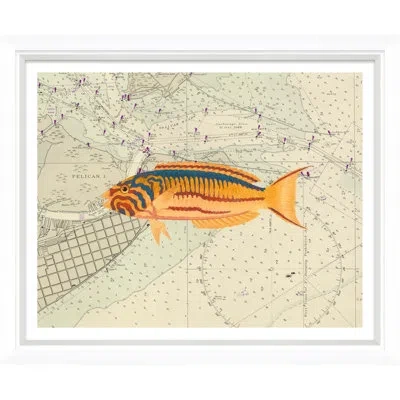 Soicher Marin 'vibrant Fish 4' - Picture Frame Graphic Art Print Paper In Green;beige;orange