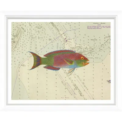 Soicher Marin 'vibrant Fish 5' - Picture Frame Graphic Art Print Paper In Blue;green;red;beige