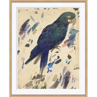 Soicher Marin Watercolor Birds 1 - Picture Frame Painting On Paper In Multi