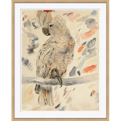 Soicher Marin Watercolor Birds 2 - Picture Frame Painting On Paper In Brown