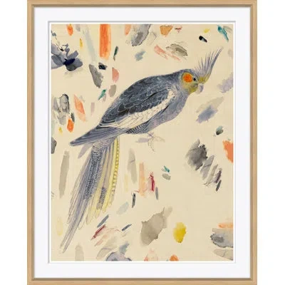 Soicher Marin 'watercolor Birds 3' - Picture Frame Painting On Paper In Multi