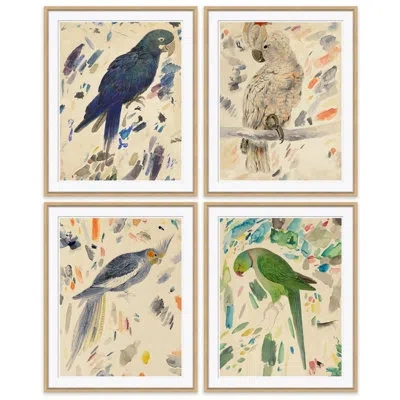 Soicher Marin Watercolor Birds 4 Piece - Picture Frame Graphic Art Print Set On Paper In Multi