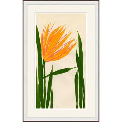 Soicher Marin 'witch Hazel' By Susan Hable - Picture Frame Painting On Paper In Multi