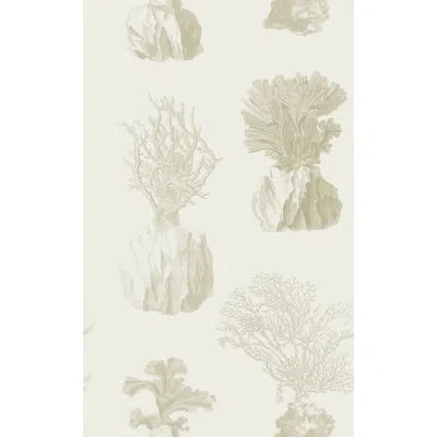 Soicher Marin Yuki Osada Coral 33' L X 20.5" W  Wallpaper Roll In Neutral