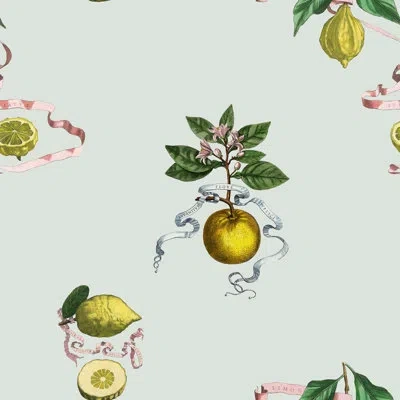 Soicher Marin Yuki Osada Lemon Toile 33' L X 20.5" W  Wallpaper Roll In Blue