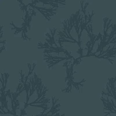 Soicher Marin Yuki Osada Seaweed 33' L X 20.5" W  Wallpaper Roll In Gray
