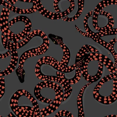 Soicher Marin Yuki Osada Snakes 33' L X 20.5" W  Wallpaper Roll In Multi