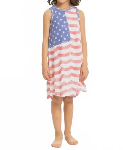Sol Angeles Kids' American Flag Dress In Striped In Multi