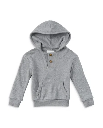 Sol Angeles Boys' Adams Hoodie - Little Kid, Big Kid In Heather Gray