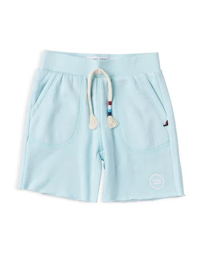 Sol Angeles Boys' Waves Shorts - Little Kid, Big Kid In Seaglass
