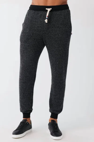 Sol Angeles Brushed Boucle Jogger In Black In Gray
