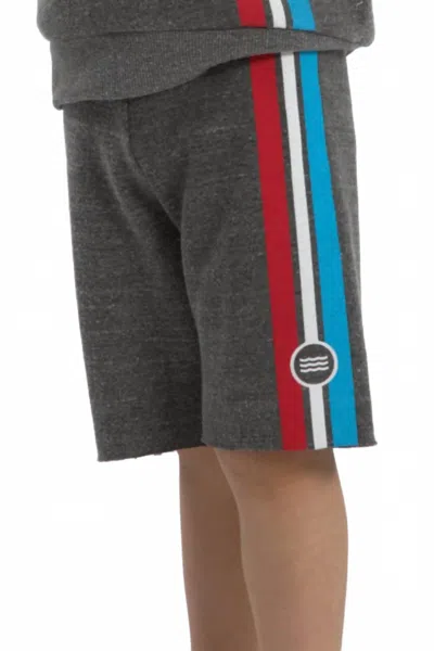 Sol Angeles Kid's Classic Striped Shorts In Gray In Black