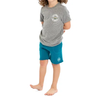 Sol Angeles Kid's Fleeced Essential Coastal Shorts In Teal In Gray