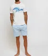 SOL ANGELES MENS CREWNECK TEE IN MIST WAVE