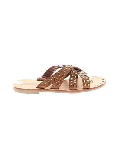 Pre-owned Sol Sana Sandals In Brown