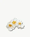 Solar Eclipse Hand-painted Narcissus Flower Claw Clip