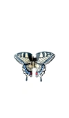 Solar Eclipse Hand-painted Swallowtail Butterfly Claw Hair Clip