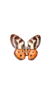 Solar Eclipse Hand-painted Tiger Moth Claw Hair Clip