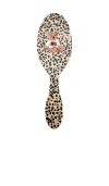 Solar Eclipse Hand-painted Usa Teddy Amazing Hair Day Brush
