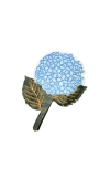 Solar Eclipse Hand-painted Hydrangea Claw Hair Clip In Blue