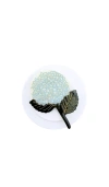 Solar Eclipse Hand-painted Hydrangea Grip Charm In Purple