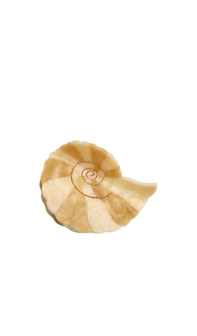 Solar Eclipse Hand-painted Spiral Shell Claw Hair Clip In N,a