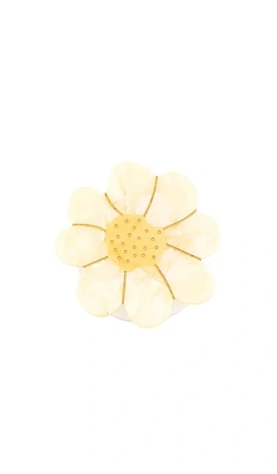 Solar Eclipse Hand-painted Vintage Daisy Grip Charm In Neutral