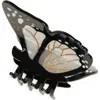 Solar Eclipse Monarch Hair Claw Clip In Silver