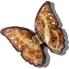 Solar Eclipse Morpho Butterfly Claw Clip In Brown