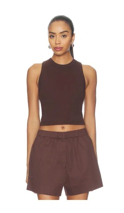 Sold Out Nyc The Cropped Not So Basic Tank In Brown