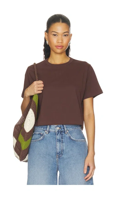 Sold Out Nyc The Cropped Perfect Tee In Brown