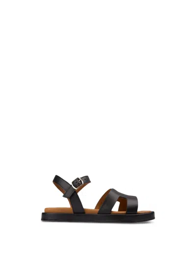 Sole Norma Sandals In Black