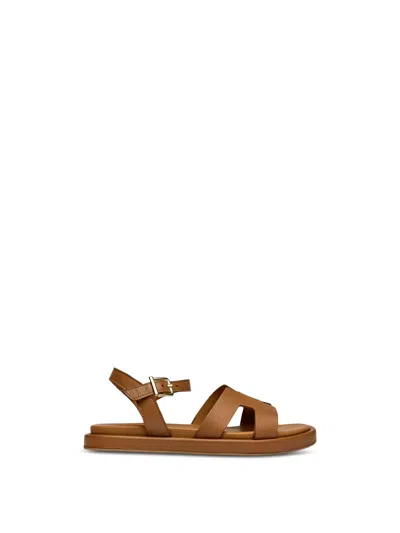 Sole Norma Sandals In Brown