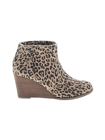 Pre-owned Sole Society Ankle Boots In Brown