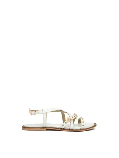 Sole Womens Dream Gladiator Sandals In White