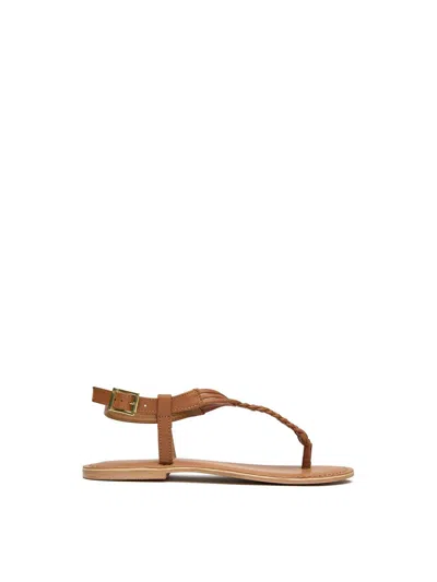 Sole Womens Dulce Thong Sandals In Brown