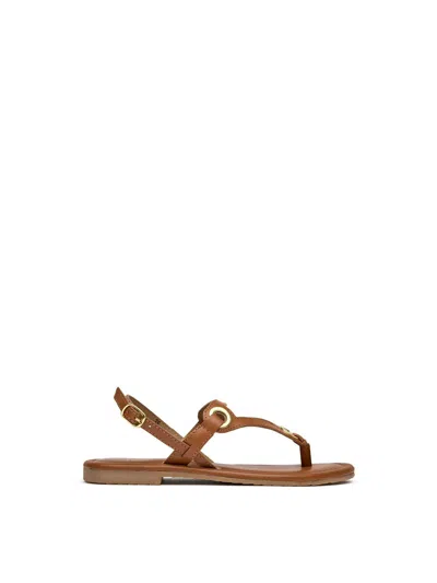 Sole Womens Lou Sandals In Brown