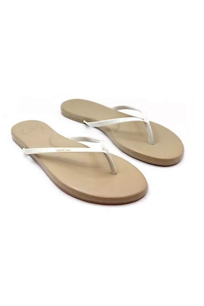 Solei Sea Annie Flip-flop Sandals In Black