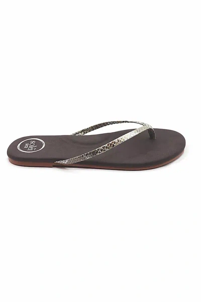 Solei Sea Copa Lizard Print Thong Sandals In Black