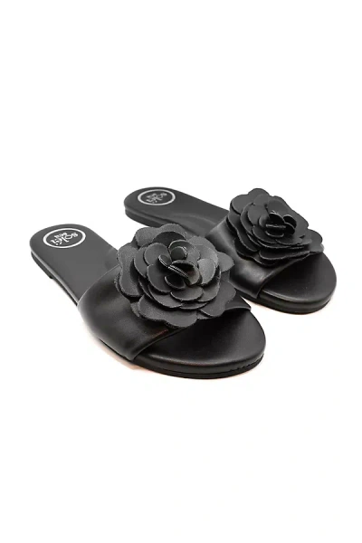 Solei Sea Dahlie Slide Sandals In Black