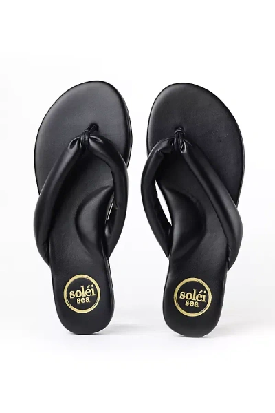 Solei Sea Gisel Thong Sandals In Black
