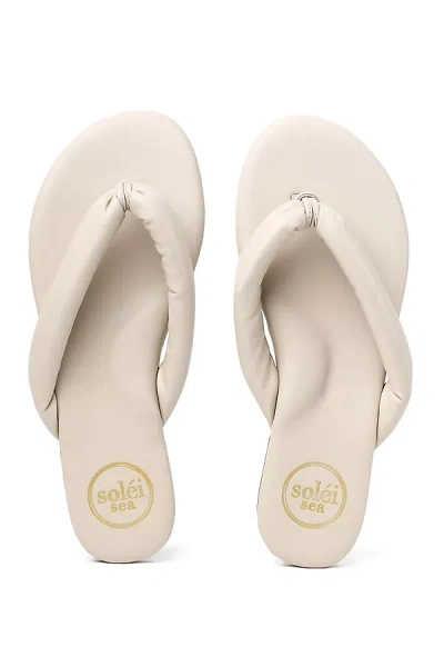 Solei Sea Gisel Thong Sandals In Neutral